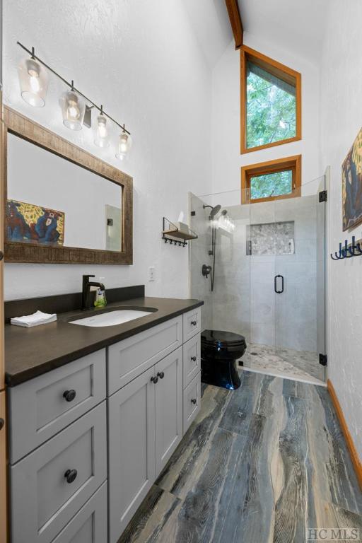 bathroom featuring vanity, lofted ceiling, toilet, and walk in shower