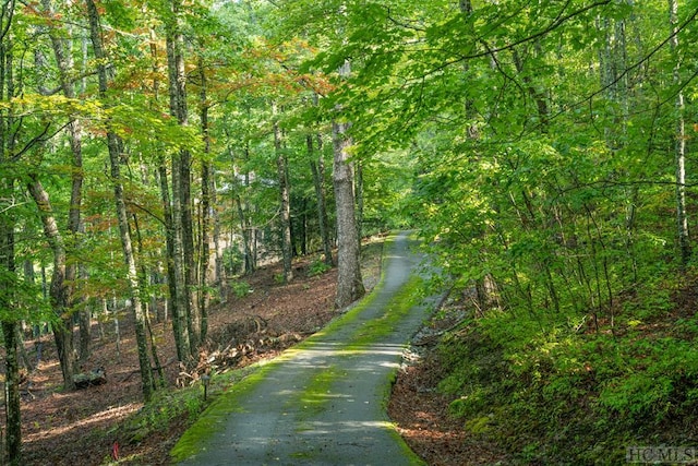 view of road