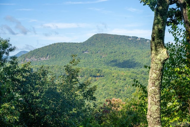 property view of mountains