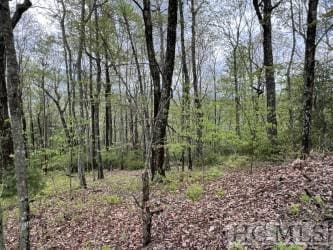 LOT11D Summit Falls Rd, Sapphire NC, 28774 land for sale