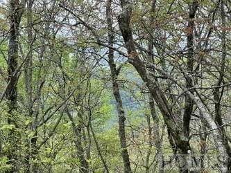 Listing photo 2 for LOT11D Summit Falls Rd, Sapphire NC 28774