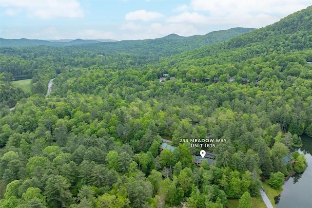 233 Meadow Way Unit Un1615, Sapphire, NC 28774 - photo 40