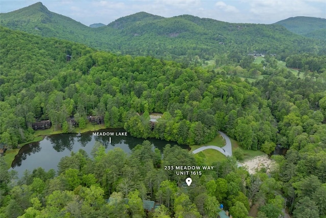 233 Meadow Way Unit Un1615, Sapphire, NC 28774 - photo 43