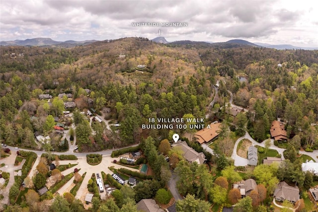 18 Village Walk Unit 100-A, Highlands, NC 28741 - photo 46