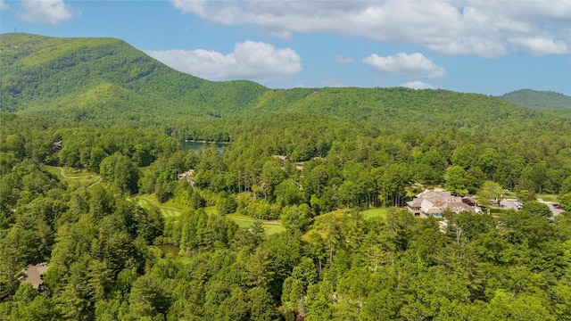 510 Boiling Springs Rd, Sapphire, NC 28774 - mountain view featuring a forest