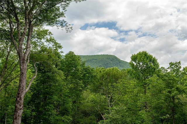 510 Boiling Springs Rd, Sapphire, NC 28774 - view of mountain background with a heavily wooded area