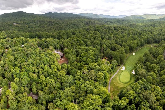 510 Boiling Springs Rd, Sapphire, NC 28774 - drone / aerial view of a forest and mountains