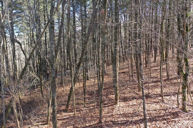 6 Receptive Dr, Glenville NC, 28736 land for sale