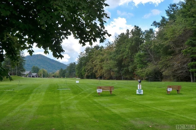 view of community featuring a mountain view and a lawn