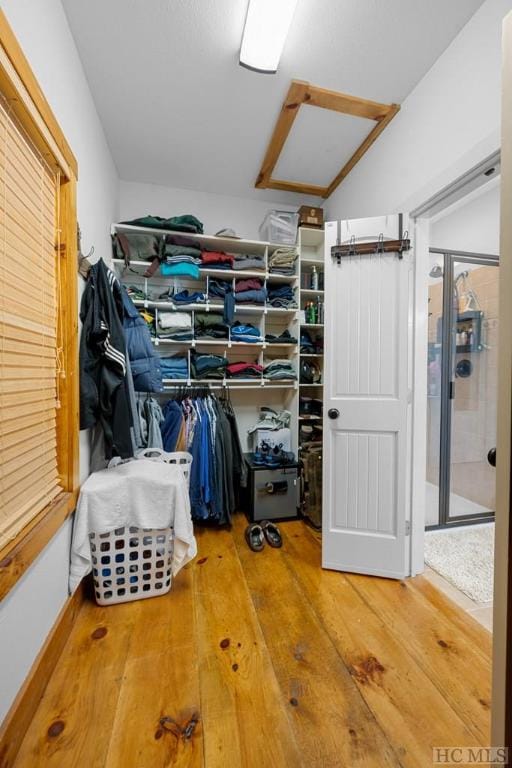 spacious closet with hardwood / wood-style flooring