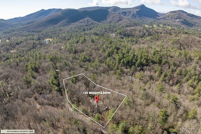 bird's eye view featuring a mountain view