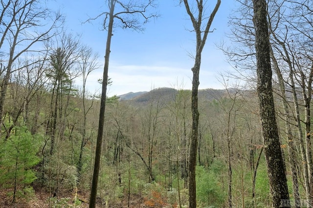 property view of mountains