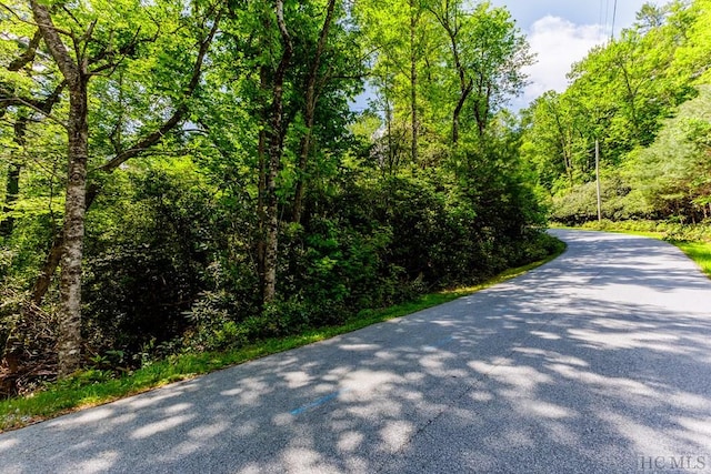 Listing photo 3 for LOT210 Wild Berry Ct, Sapphire NC 28774