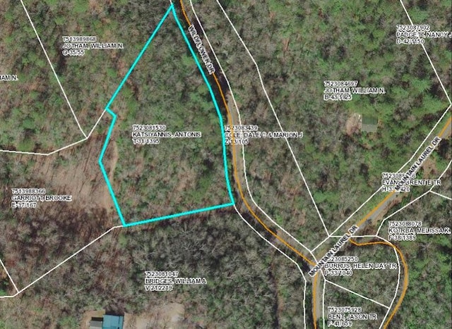 LT361 Wildflower Dr, Franklin, NC 28734 - photo 13