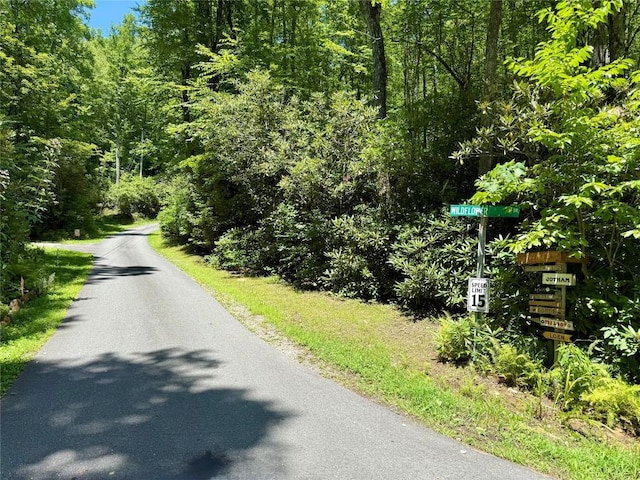 LT361 Wildflower Dr, Franklin, NC 28734 - photo 8