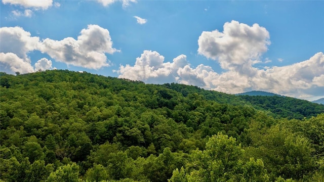 LT361 Wildflower Dr, Franklin, NC 28734 - photo 5
