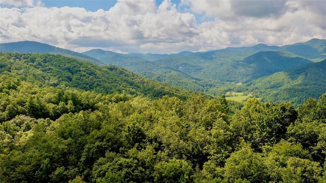 LT361 Wildflower Dr, Franklin, NC 28734 - photo 2