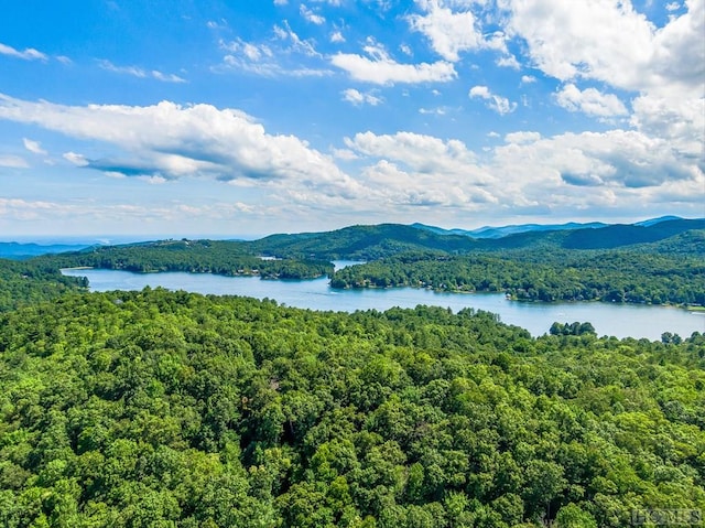 exterior space featuring a water and mountain view