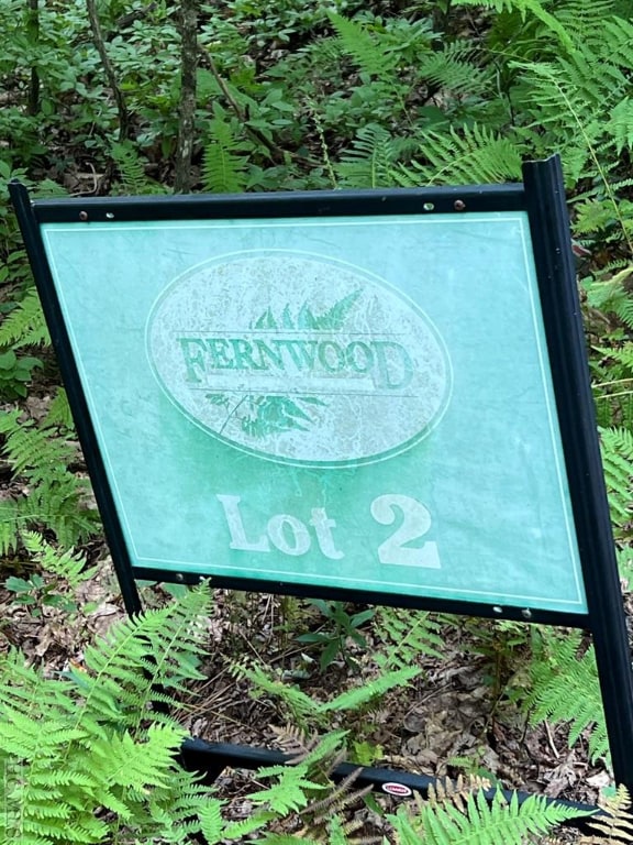 Listing photo 2 for LOT2 Frond Ct, Sapphire NC 28774