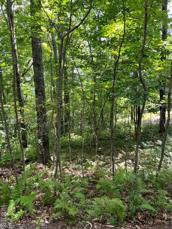 Listing photo 3 for LOT2 Frond Ct, Sapphire NC 28774