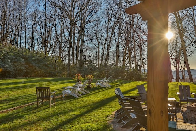 view of community featuring a yard