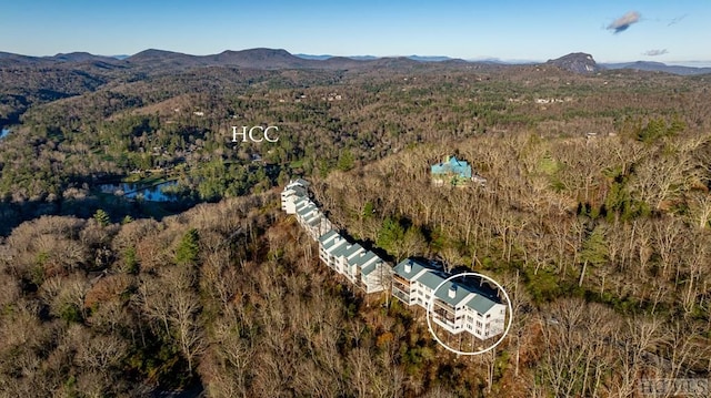 aerial view with a water and mountain view