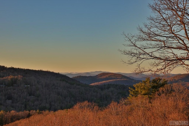 view of mountain feature