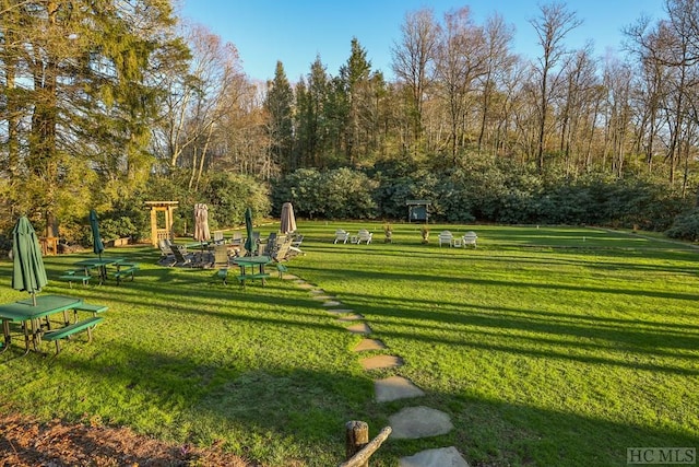 view of home's community with a yard