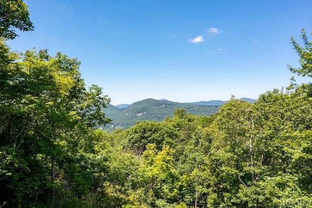 property view of mountains