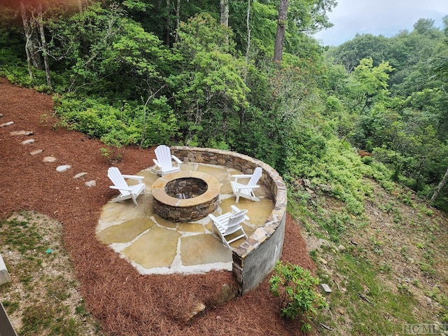 view of yard with a patio area and a fire pit