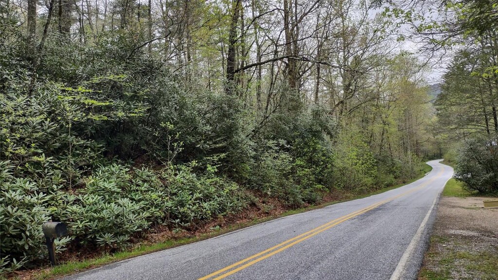 TBD Whiteside Cove Rd, Cashiers, NC 28717 - photo 1