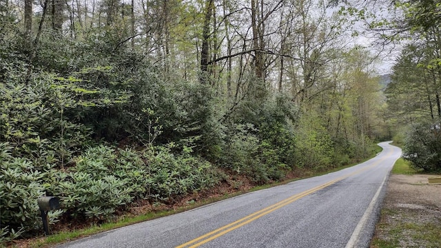 TBD Whiteside Cove Rd, Cashiers, NC 28717 - photo 1