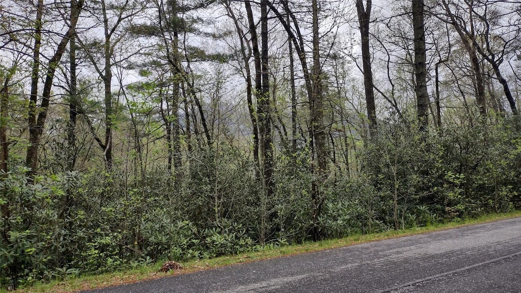 TBD Whiteside Cove Rd, Cashiers, NC 28717 - photo 4
