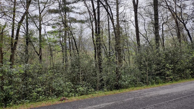 TBD Whiteside Cove Rd, Cashiers, NC 28717 - photo 4