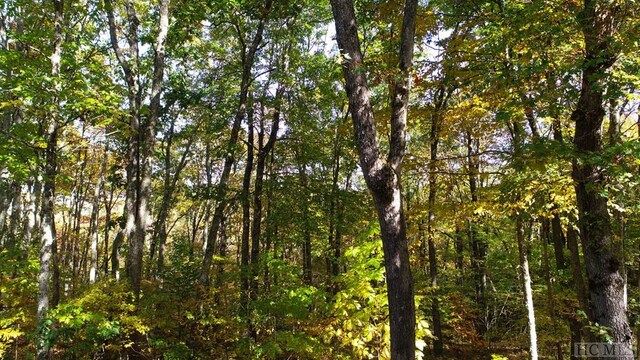 LOT7 Glenridge Rd, Glenville, NC 28736