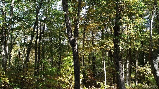 LOT7 Glenridge Rd, Glenville, NC 28736