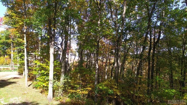 LOT7 Glenridge Rd, Glenville, NC 28736