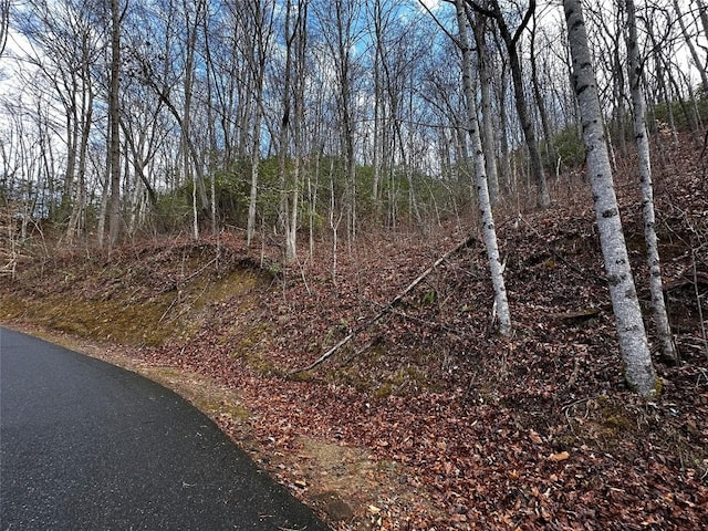 0000 River Ridge Pkwy, Tuckasegee, NC 28783 - photo 4