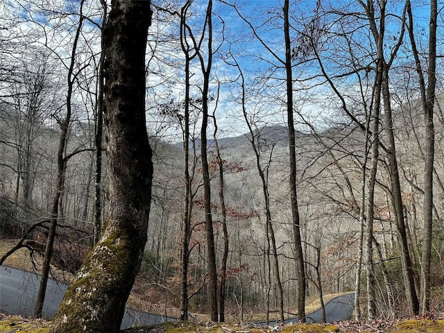0000 River Ridge Pkwy, Tuckasegee, NC 28783 - photo 8