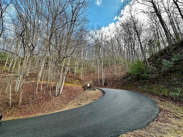 0000 River Ridge Pkwy, Tuckasegee NC, 28783 land for sale