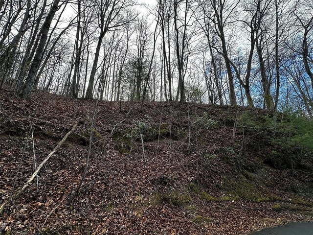 0000 River Ridge Pkwy, Tuckasegee, NC 28783 - photo 5