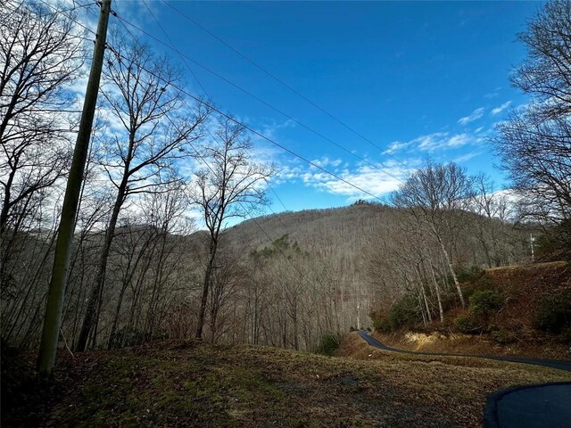 0000 River Ridge Pkwy, Tuckasegee, NC 28783 - photo 7