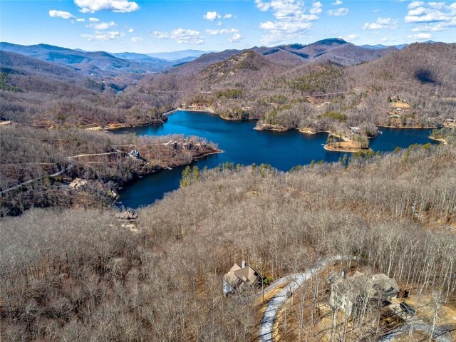 130 Cross Vine Dr, Tuckasegee, NC 28783 - aerial view with a water and mountain view