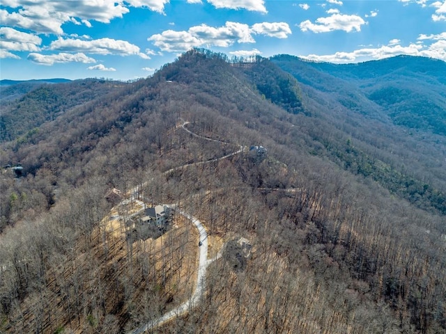130 Cross Vine Dr, Tuckasegee, NC 28783 - drone / aerial view featuring a wooded view and a mountain view