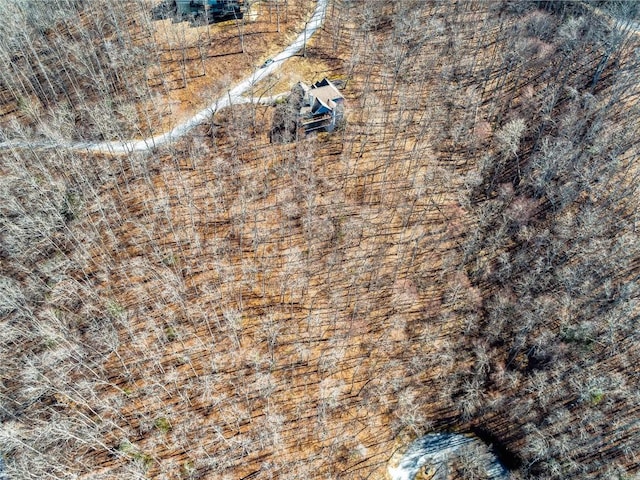 130 Cross Vine Dr, Tuckasegee, NC 28783 - drone / aerial view