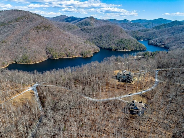 130 Cross Vine Dr, Tuckasegee, NC 28783 - drone / aerial view featuring a view of trees and a water and mountain view