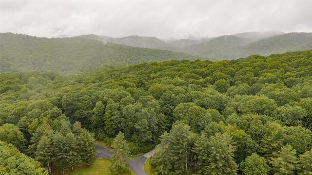 45 Buffalo Mountain Rd, Glenville, NC 28736 - photo 83