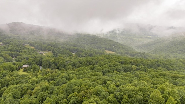 45 Buffalo Mountain Rd, Glenville, NC 28736 - photo 81