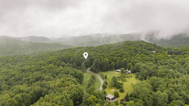 45 Buffalo Mountain Rd, Glenville, NC 28736 - photo 82