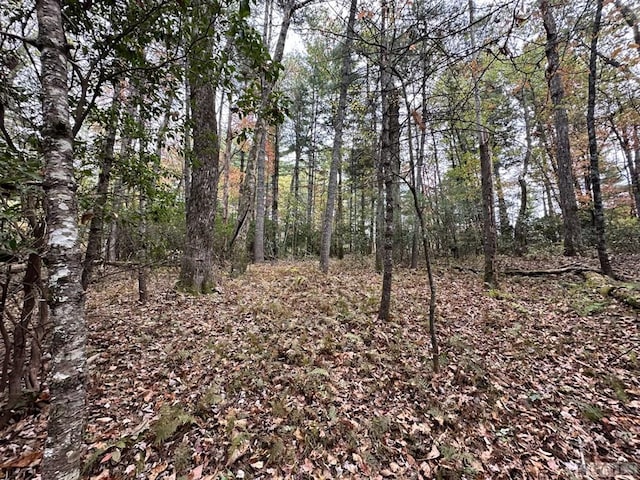 Listing photo 3 for LOT55 Lupton Rd, Sapphire NC 28774